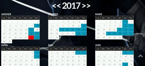 Arts martiaux à Genève : Un calendrier pour une meilleure vue !